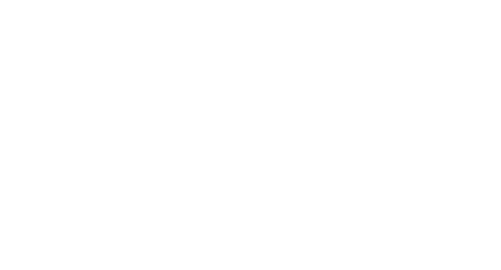 bgw_logo_white_transparent